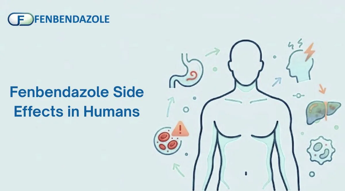 Fenbendazole Side Effects in Humans