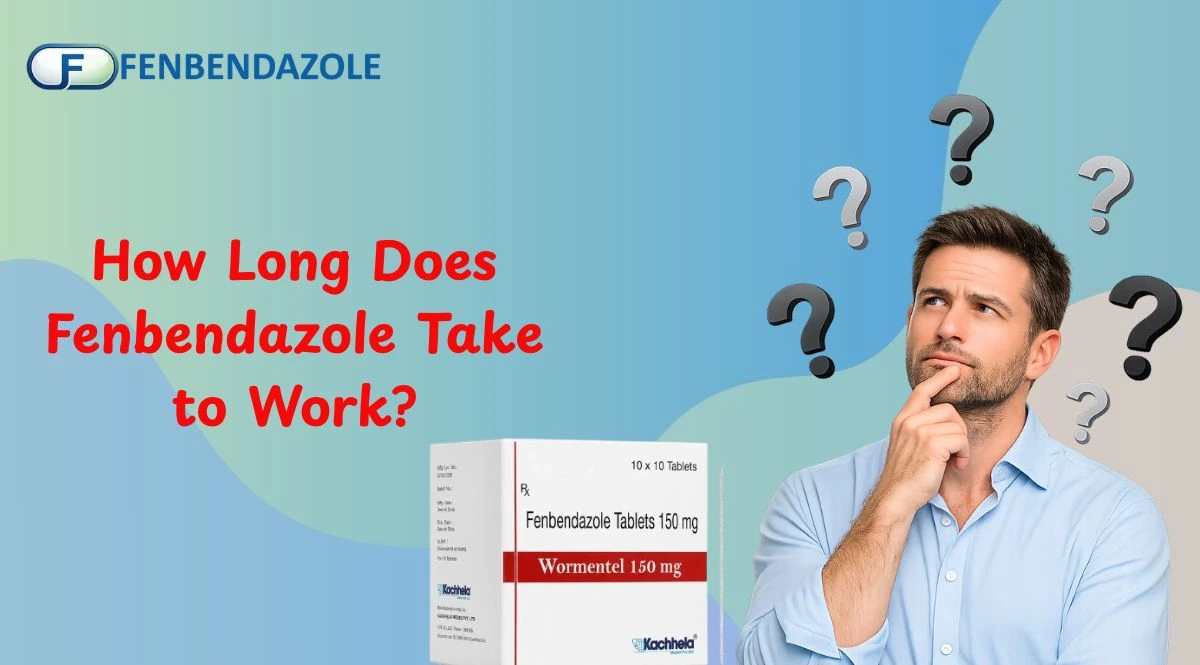 How Long Does Fenbendazole Take to Work