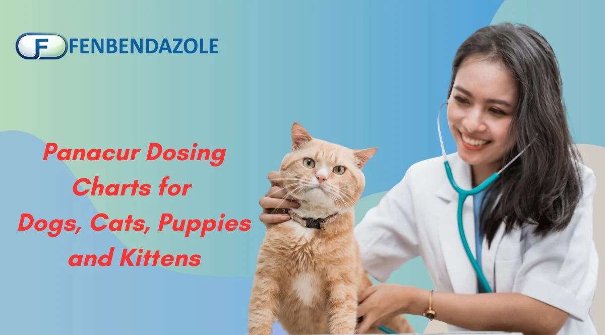 Panacur Dosing Charts for Dogs, Cats, Puppies and Kittens