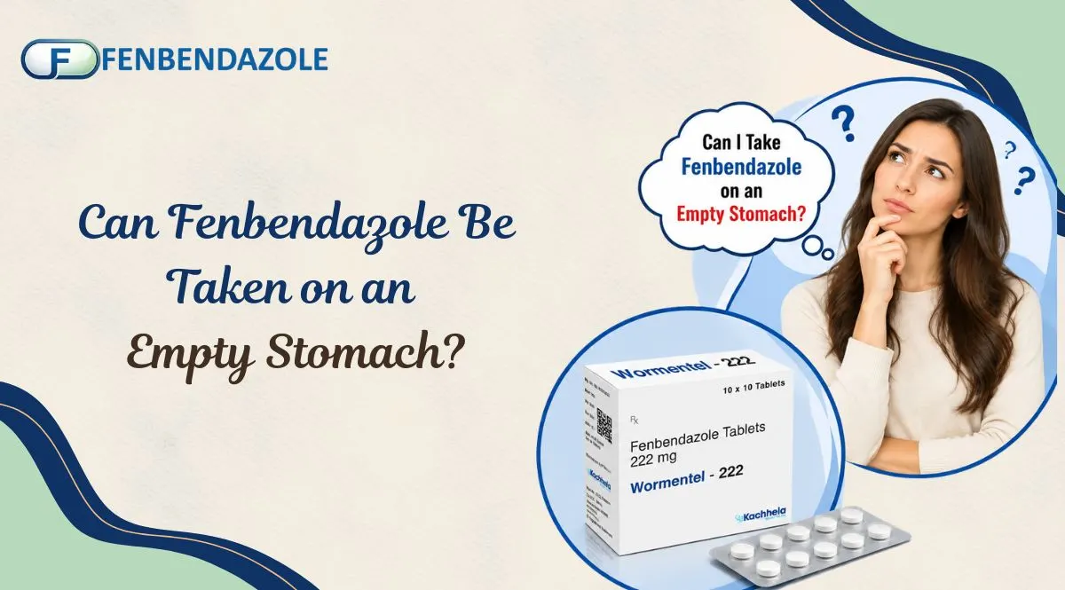 Can Fenbendazole Be Taken on an Empty Stomach