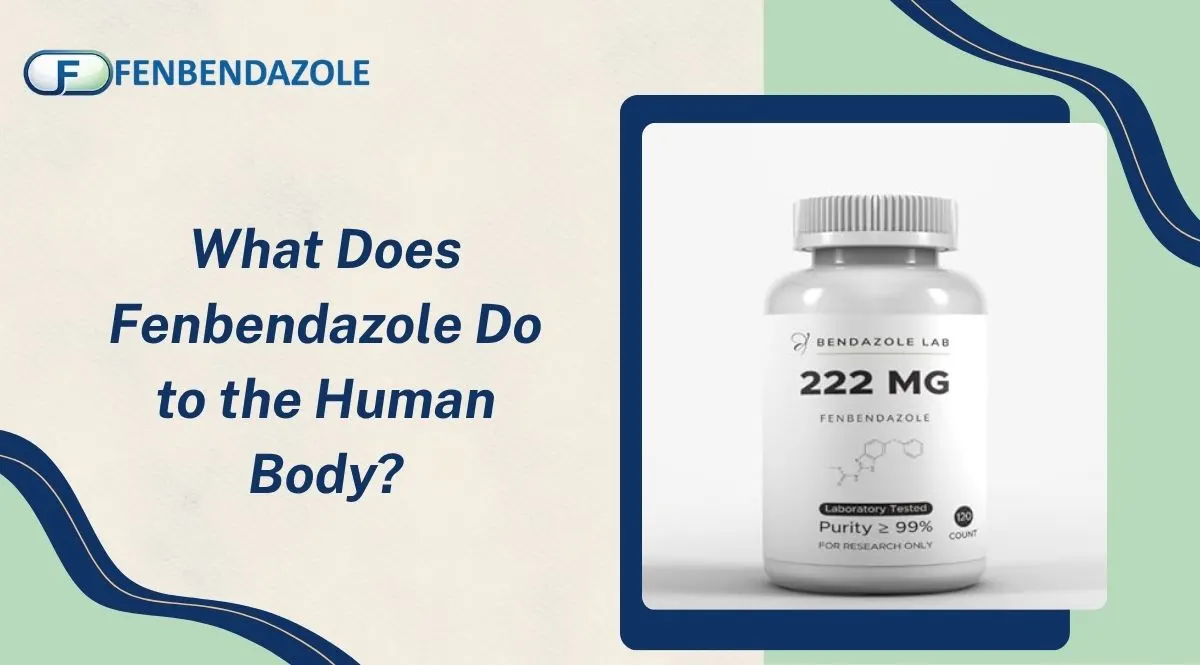 What Does Fenbendazole Do to the Human Body