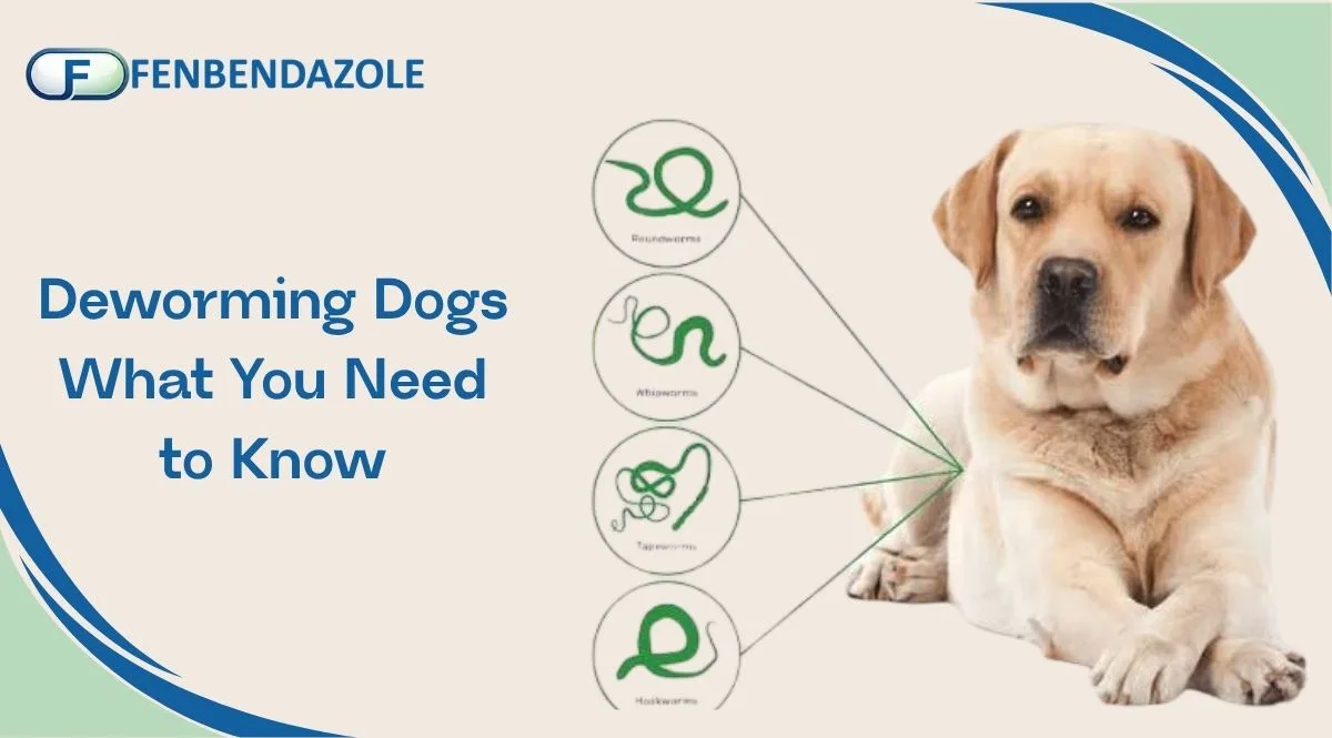 Deworming Dogs What You Need to Know